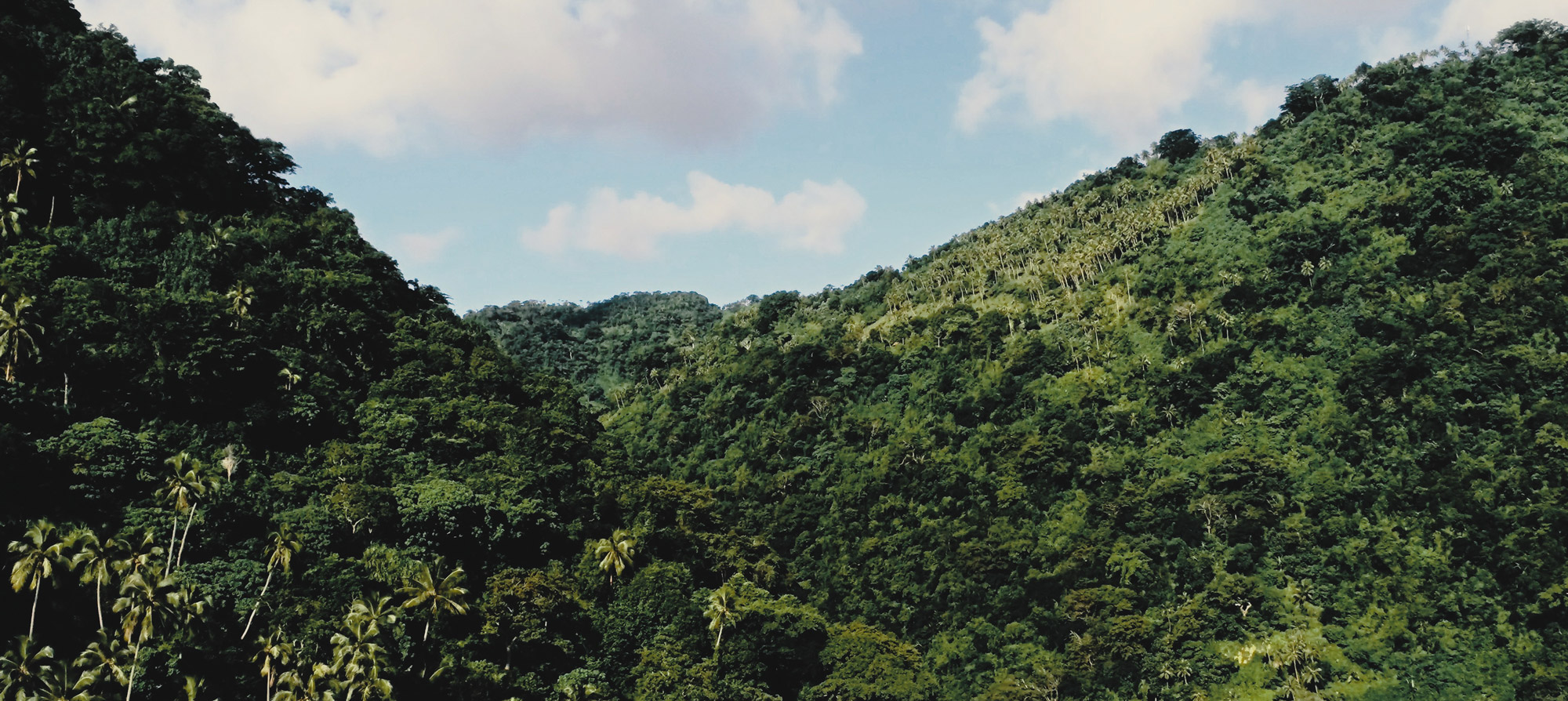 Wingcopter_Vanuatu_bea-18-web