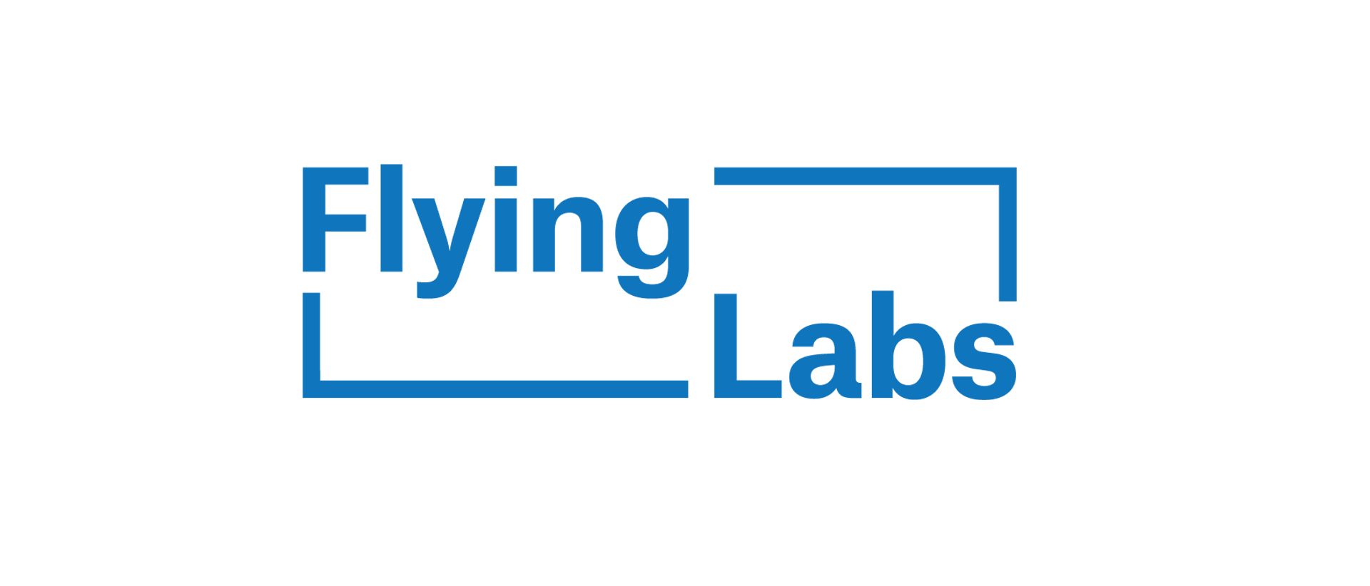 partner_gallery_flyinglabs
